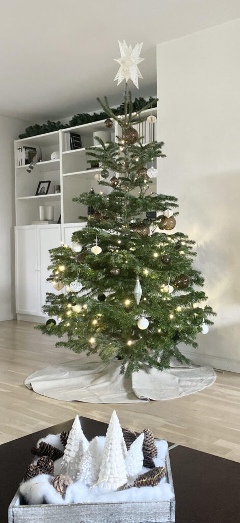 Top 5 Tips for Decorating Your Christmas Tree