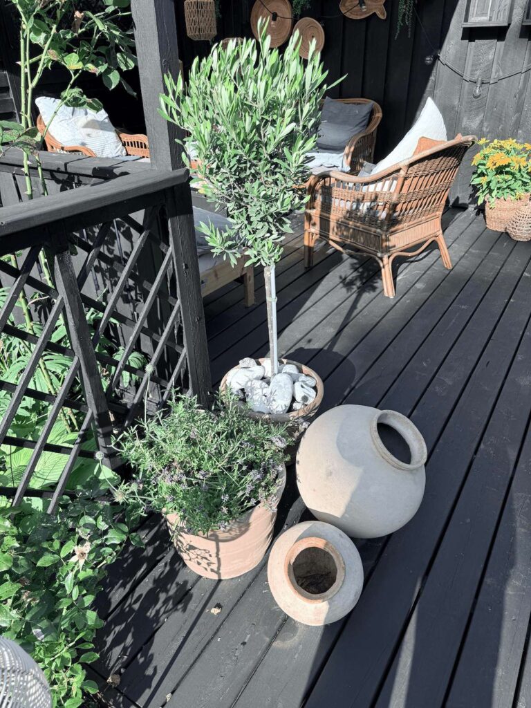 balcony plants inspiration