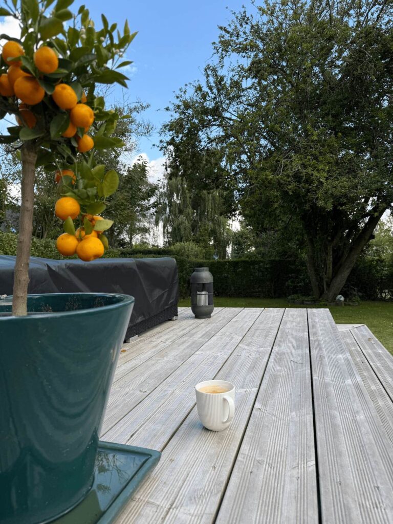 hyggelig outdoor space
